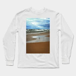 Lone Gull Long Sleeve T-Shirt